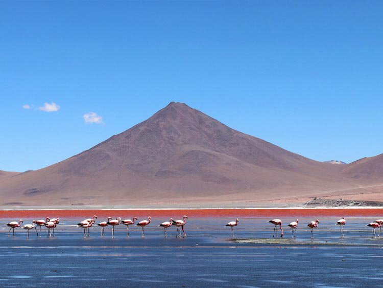 Alle hoogtepunten van Bolivia in een reis