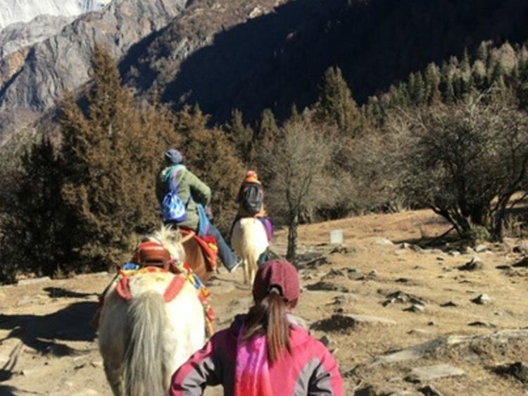 Tibetaanse graslanden Sichuan