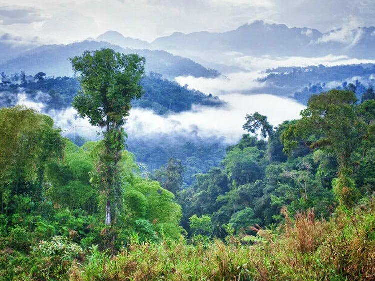 Ecuador: Jungle & vulkanen