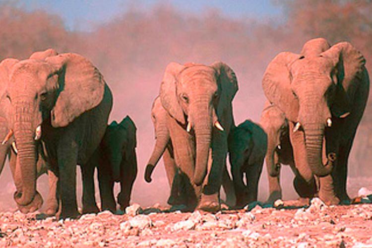Namibië rondreis de leukste
