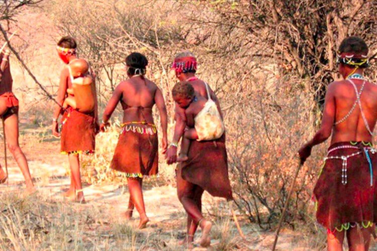 Bij de Bushman van de Kalahari