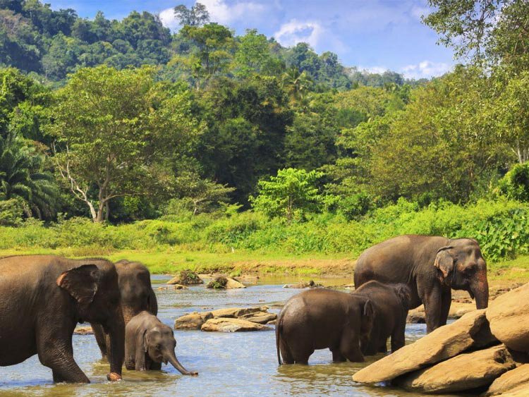 Familiereis Sri Lanka
