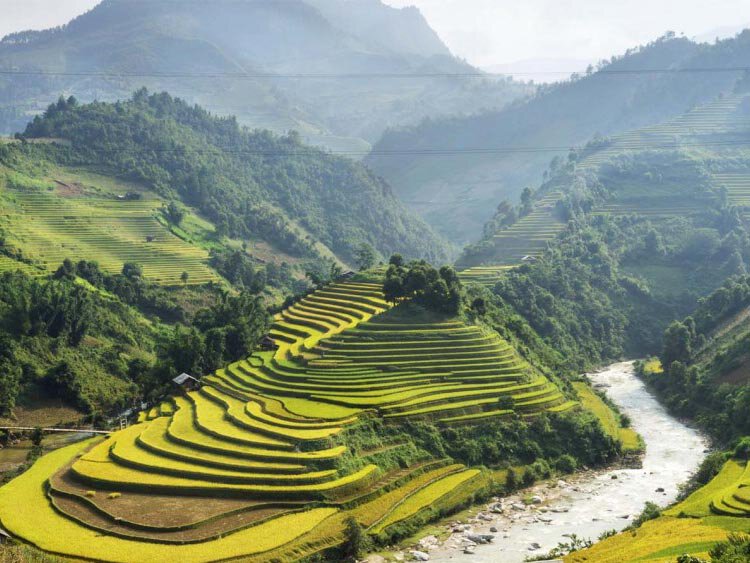 Original Vietnam