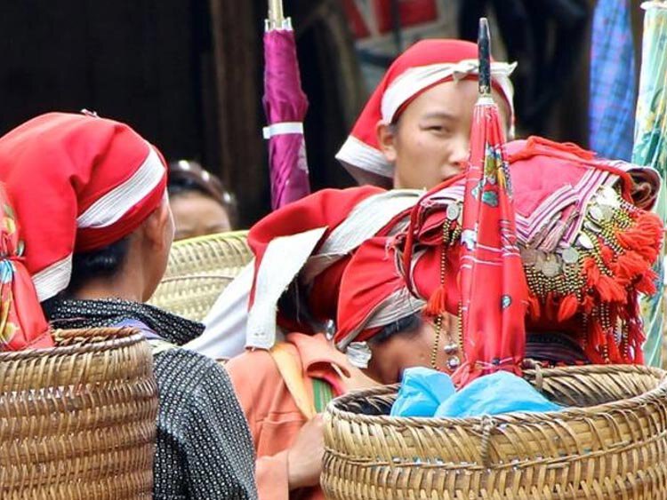 Rondreis Vietnam: Noord-Vietnam, bergstammen en natuur