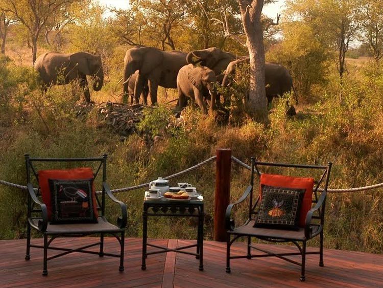 Rondreis Country House en Safari Lodge