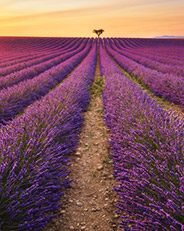 Provence