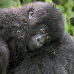 Profiel Matoke Tours