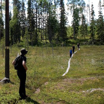 Wandelen langs de Russische grens