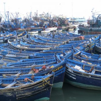 Blauwe bootjes in de haven