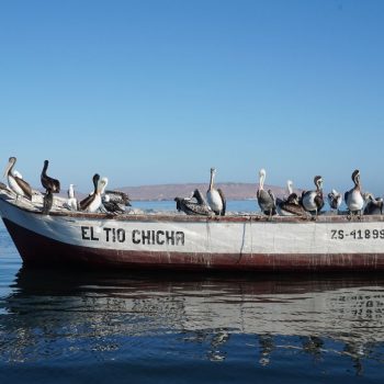 Islas Ballestas