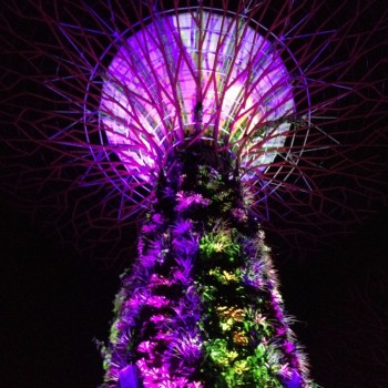 Garden by the bay