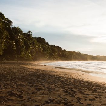 Manzanillo