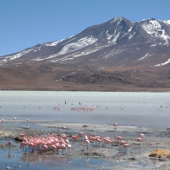 Laguna Hedionda 