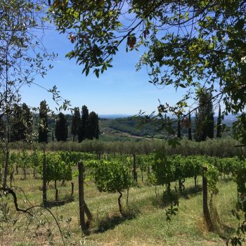Omgeving Lucca