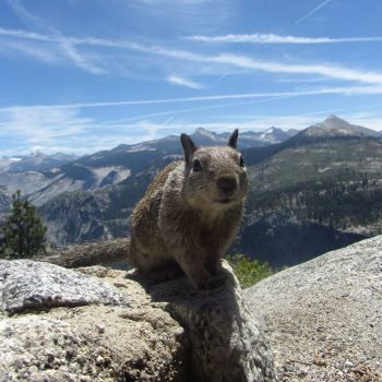 Yosemite National Park