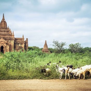 Bagan