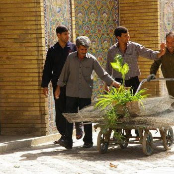 Teheran