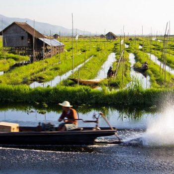 Drijvende tuinen bij Maing Thauk, Inle Lake