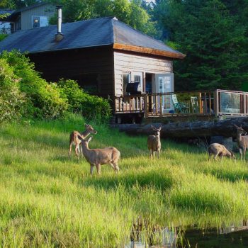cabin op Vancouver Island