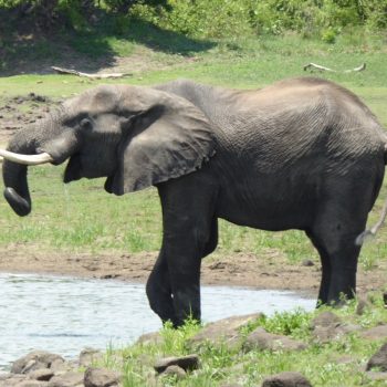 Foto door Marnix ten Brinke-Ruikes
