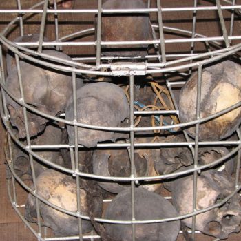 oude schedels buitgemaakt door de koppensnellers