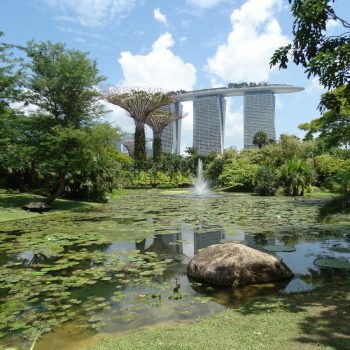 Gardens by the bay