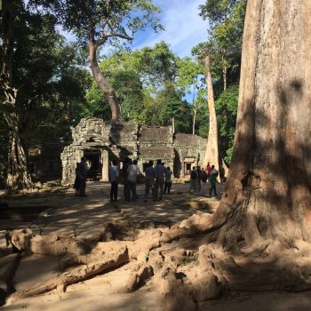 Tempel waar Tomb Raider is opgenomen