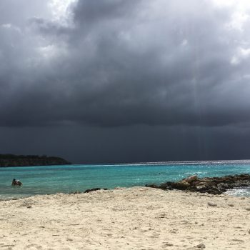 Port mari