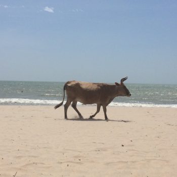 Paradise beach