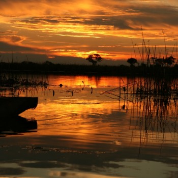 Foto door Brigitte de Hond