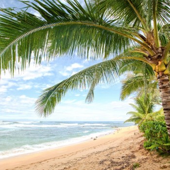 Kauai