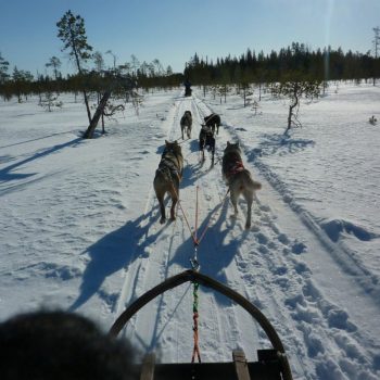 Husky tocht