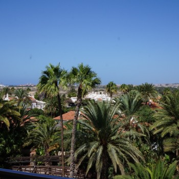 Uitzicht vanuit het hotel