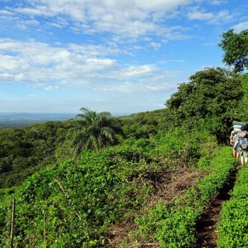 Hike naar vulkaan Telica met Quetzaltrekkers, Léon