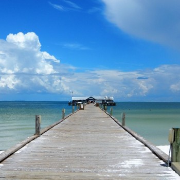 Anna Maria Beach. Je zwemt hier zo tussen de dolfijnen bij de pier en dat voor € 0,00