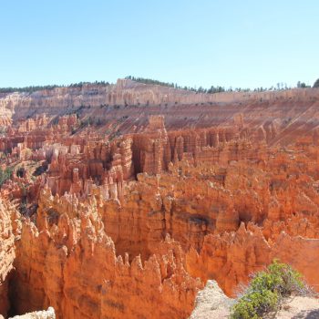 Bryce