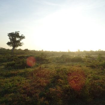 Foto door Anne Wil van Tongeren