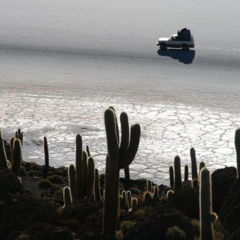 Cactussen en Zoutvlakte