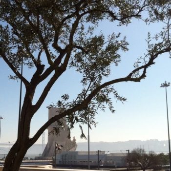 Foto door An Van Loock