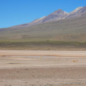 Colca Canyon