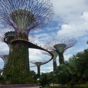 Gardens by the bay