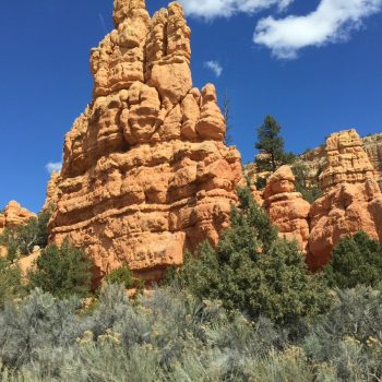 Bryce canyon