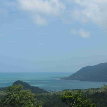 View point
