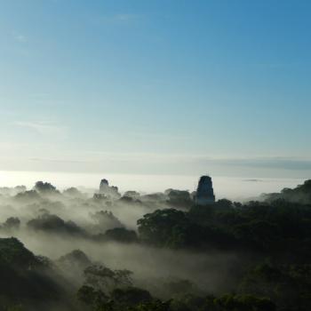 Ontwakende jungle in Tikal