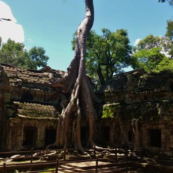 Ta Prohm