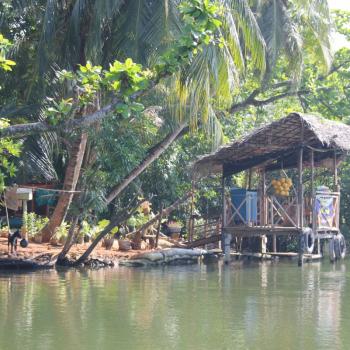 Riviersafari in het binnenland (vanuit Hikkaduwa)