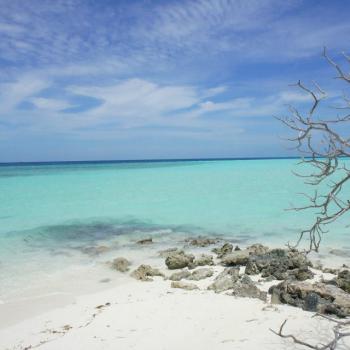 Foto door Lizette Schuurman