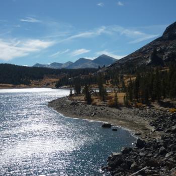 Yosemite National Park