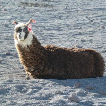 Salar de Uyuni