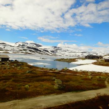 Uitcicht vanuit de trein (Oslo- Bergen Railway)
